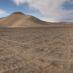 Meet your Posher, Ernesto